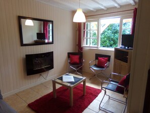 Fernseher, Kamin, DVD-Player, Bücher