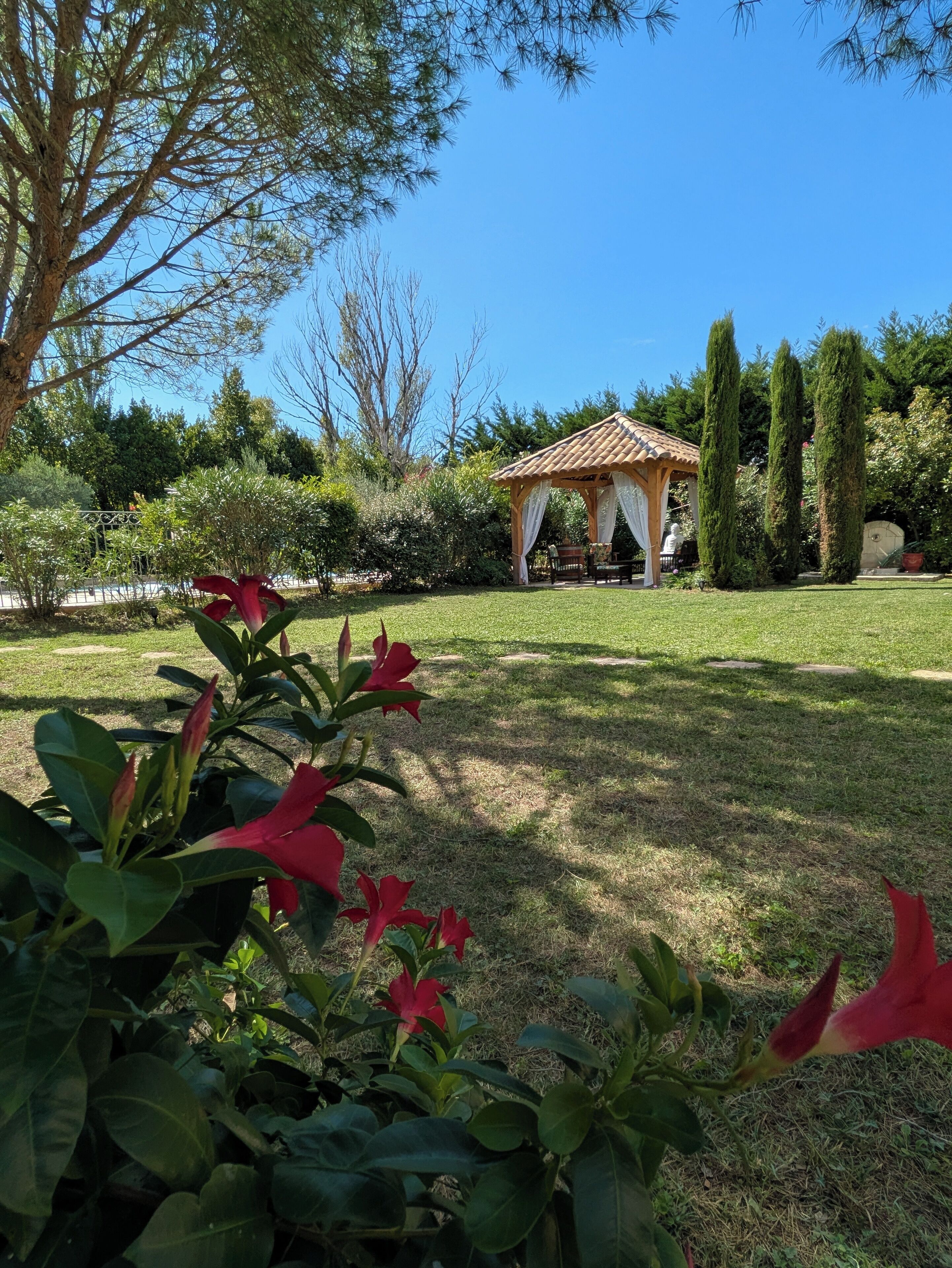 A gazebo with a tiled roof and white curtains, surrounded by a well-maintained lawn and various plants.