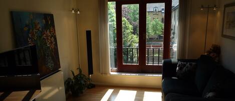 Televisión, reproductor de DVD, libros y estéreo