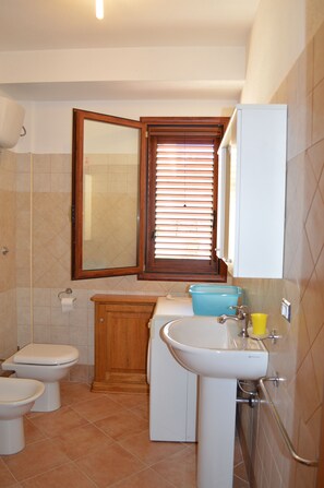 Shower, hair dryer, bidet, towels