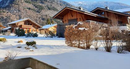 Super appartement 1 chambre avec vue sur la montagne, proche du centre de Samoëns et du bus de ski
