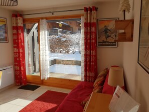 Flat-screen TV, Netflix, DVD player, books