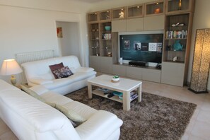 Smart TV, Netflix, DVD player, books