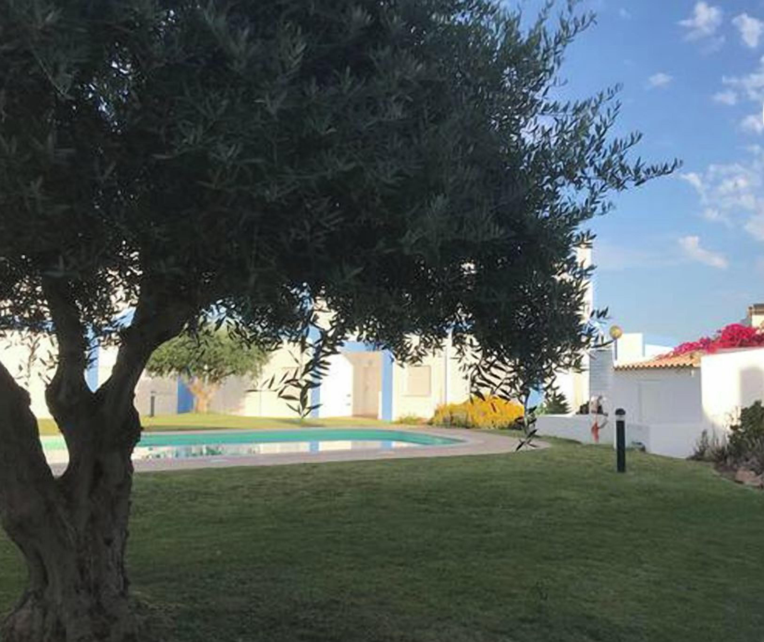 A courtyard with a tree, a pool, and a white building with red flowers.