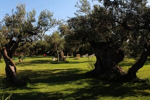 Property grounds - POMEGRANATE HOLIDAY HOME SCIACCA (Sciacca)