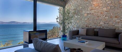 TV, fireplace, DVD player, books