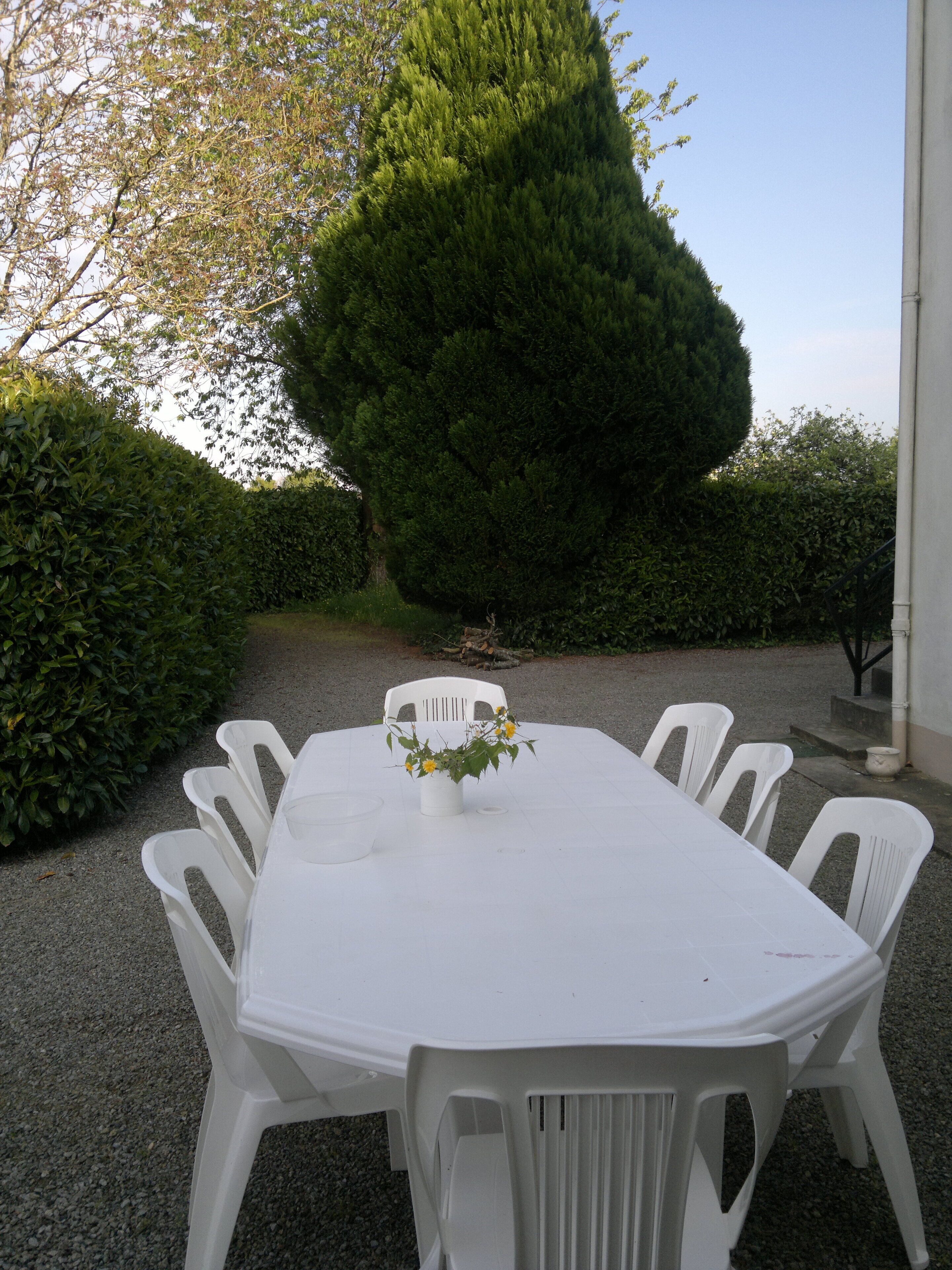 Una mesa blanca de plástico con sillas, una planta en maceta y un seto en un patio.