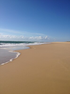 Beach nearby - Charming house in Cap Ferret with private pool in a haven of peace (Lège-Cap-Ferret)