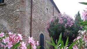 Ein Steingebäude mit Fenster und Tür, umgeben von rosa Blumen.