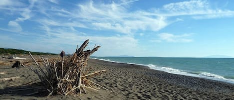 Beach nearby
