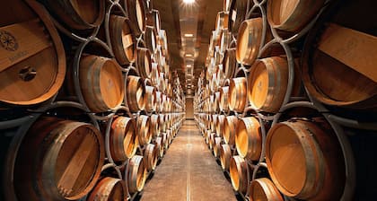 Apartment in country house with a large park and swimming pool near the sea