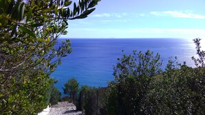 A stone pathway leading to a coastal view with dense foliage on one side. - Splendid Villa with private pool and stunning views in Sperlonga, near Rome (Sperlonga)