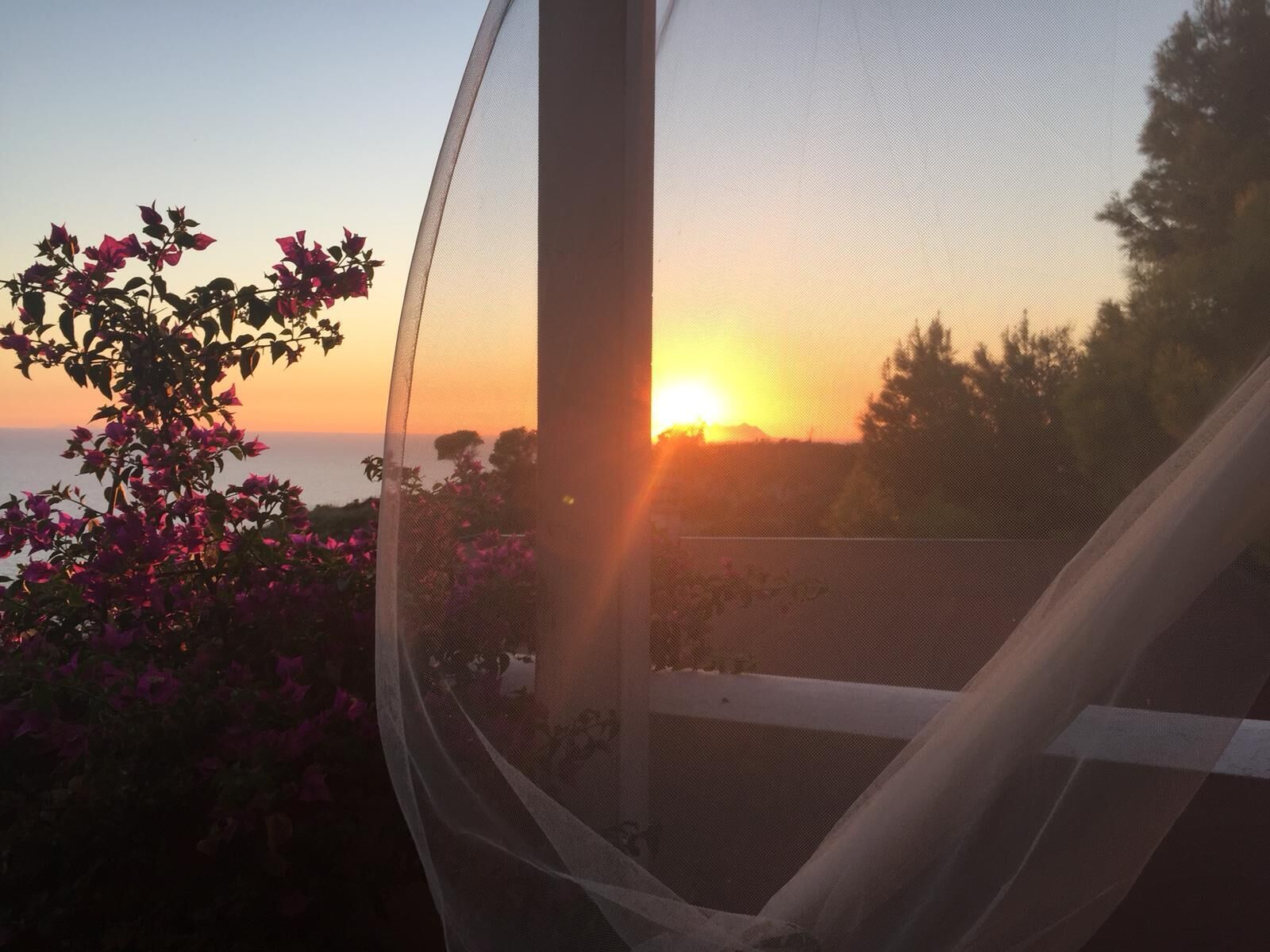 A sunset view through a window with a mesh screen, overlooking a garden with pink flowers and a fence.