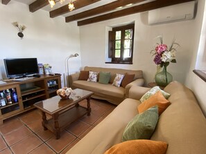 TV connectée, cheminée, lecteur de DVD, livres