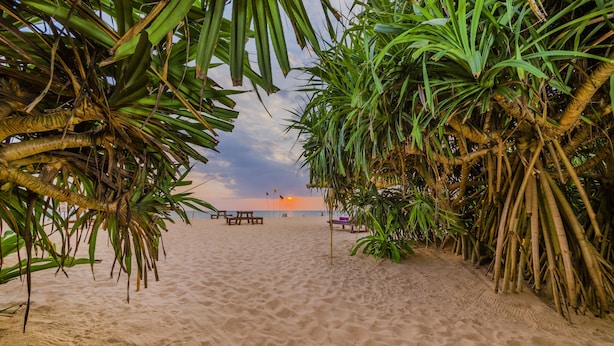 A beach with a clear sky and a sunset.