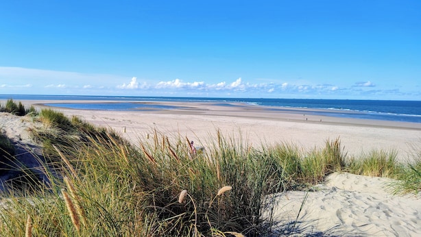 A beach with sand dunes and grass in the foreground, leading to a wide sandy beach and ocean in the background.