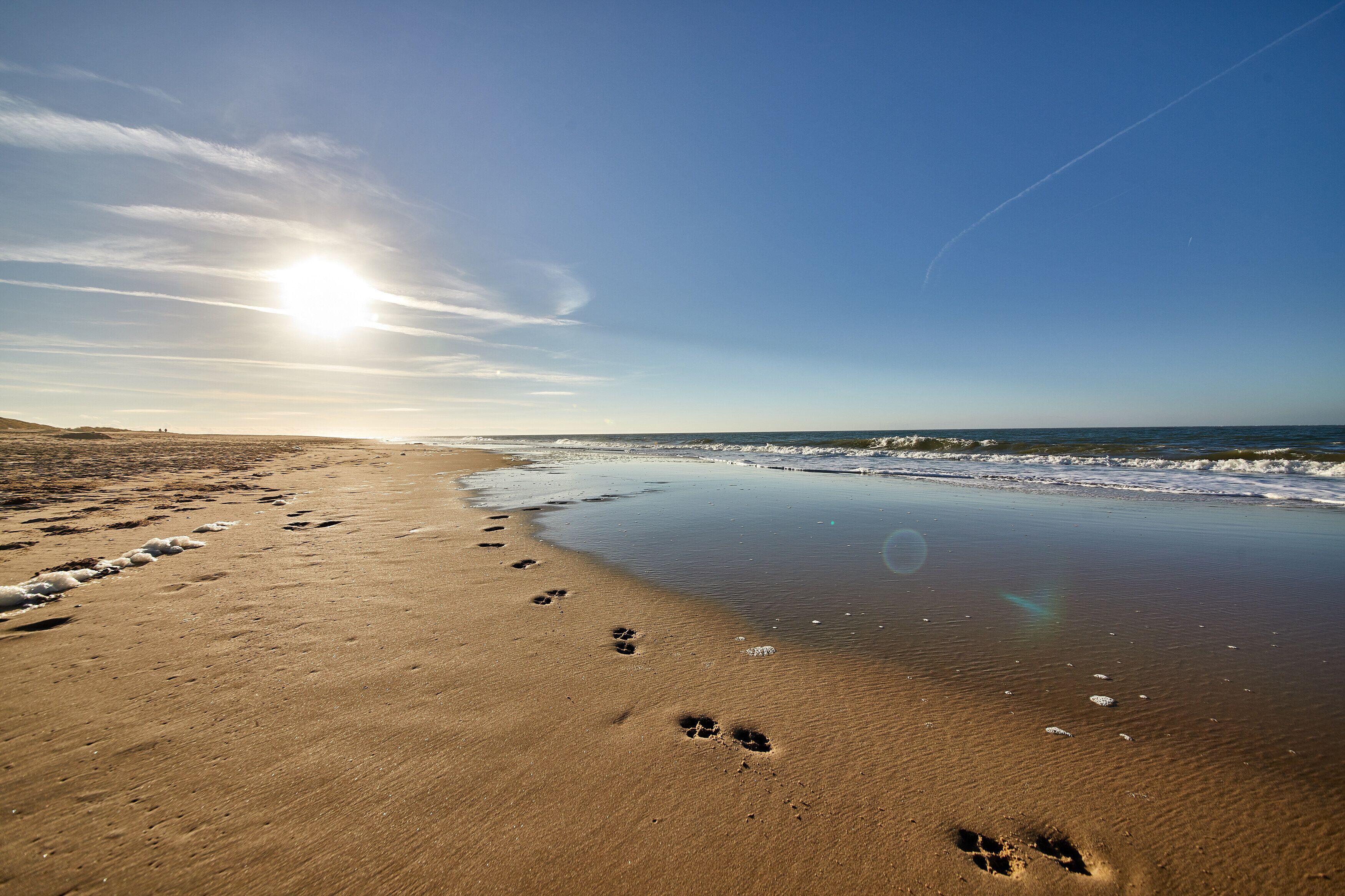 Ranta lähistöllä, aurinkotuoleja