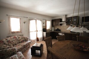 Télévision, cheminée, lecteur de DVD, chaîne hi-fi