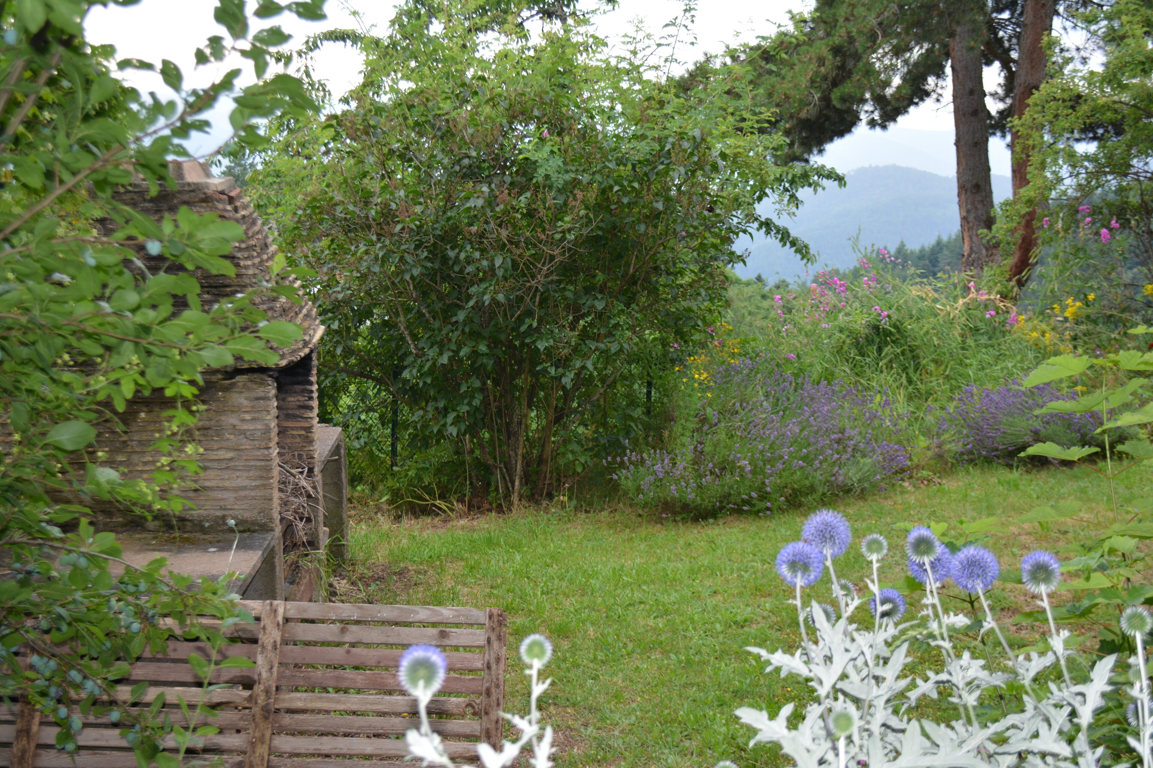 A garden with a wooden bench, a stone wall, and various plants and flowers.