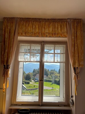 Una ventana con vistas a un paisaje verde y montañas.