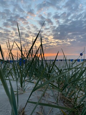 A beach with tall grass and a sunset in the background.
