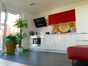 Fridge, microwave, oven, stovetop - Apartment with Rhine view, 125 sqm, 4 rooms, designer furnishings (Konstanz)