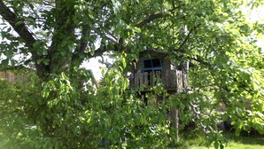 A treehouse with a wooden structure and a blue window, surrounded by dense green foliage. - Uckermark old farmhouse with large wild garden (Templin)