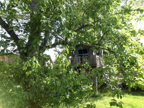 Property grounds - Uckermark old farmhouse with large wild garden (Templin)