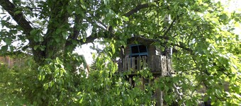 Uckermark old farmhouse with large wild garden
