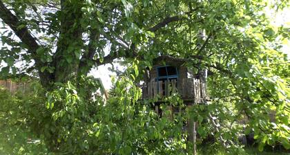 Uckermark ancienne ferme avec grand jardin sauvage