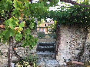 Property grounds - Restored old farm house with a lot of charm - let your soul go for a stroll (Saint-Saturnin-Lès-Apt)