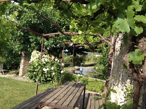 Property grounds - Restored old farm house with a lot of charm - let your soul go for a stroll (Saint-Saturnin-Lès-Apt)