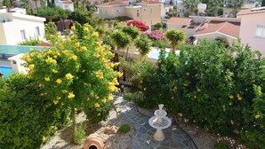 Property grounds - Villa with priv. Pool, beautiful garden and shady veranda - 5 min to the beach (Peyia)