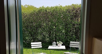 Summer in the old stable