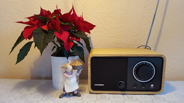 A radio with a wooden frame and a small figurine beside a potted plant with red leaves. - Summer in the old stable (Iserlohn)