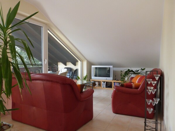 Fernseher