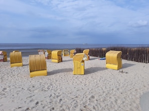 Ein Strand mit in Reihen angeordneten gelben Korbstühlen.