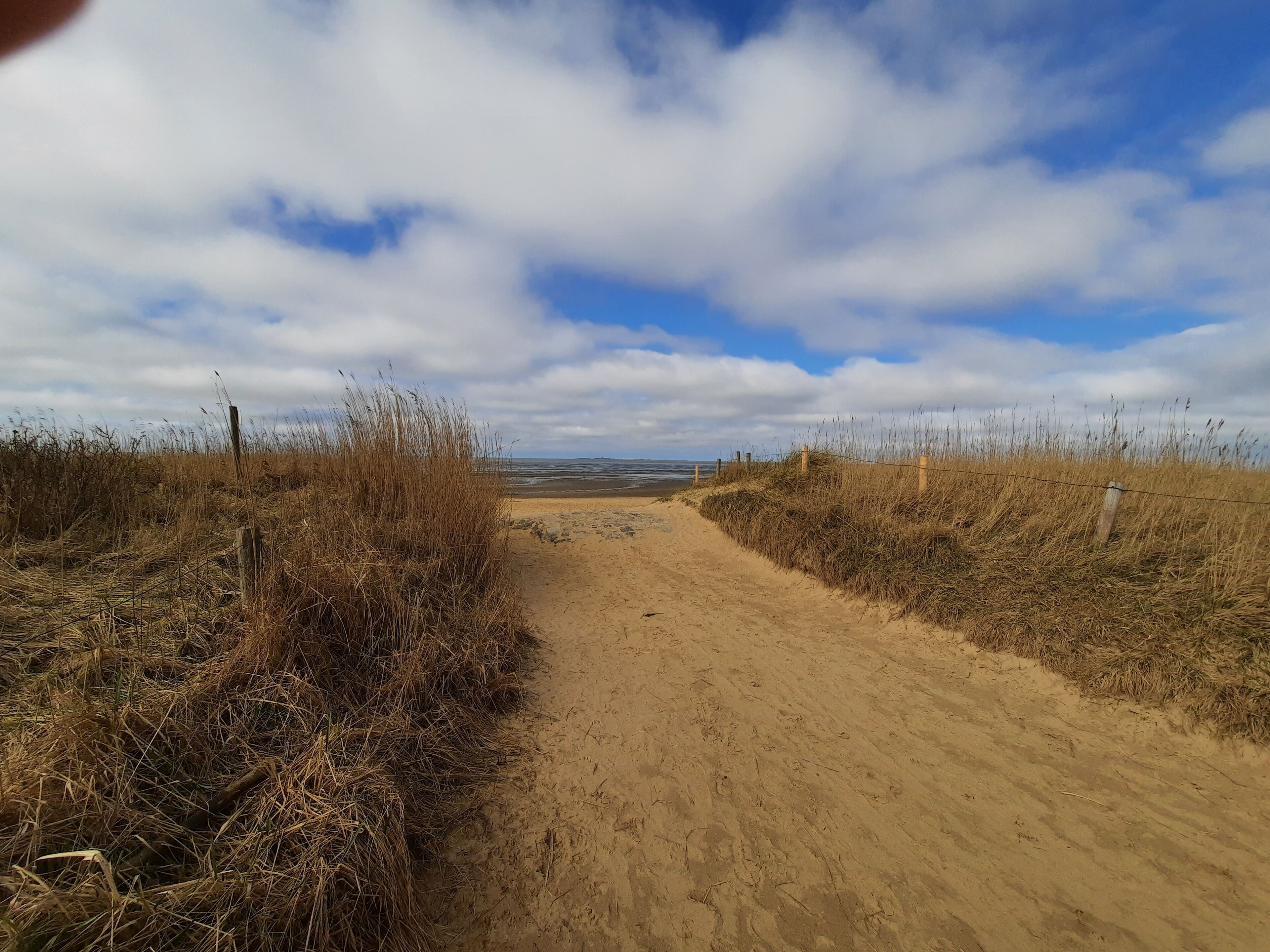 A sandy path leading to a beach with a wooden fence on one side and tall grass on the other.