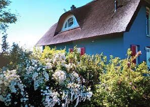 Ulkopuoli
