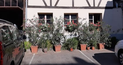 .THE WINE-GROWER'S HOUSE GĂźtes du Florimont