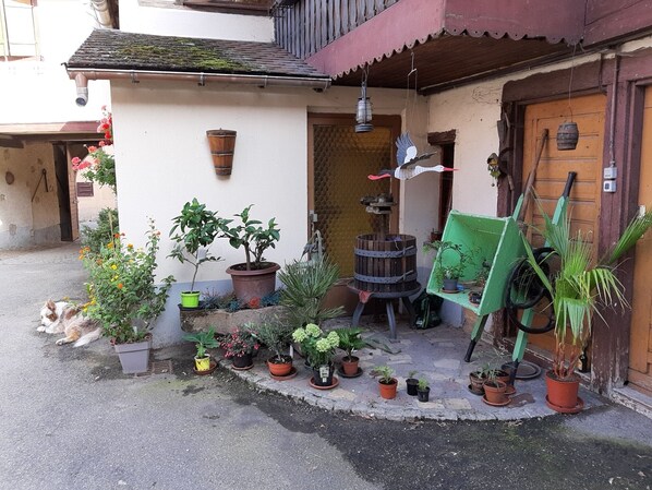 A small courtyard with various potted plants, a green chair, and a wooden barrel.