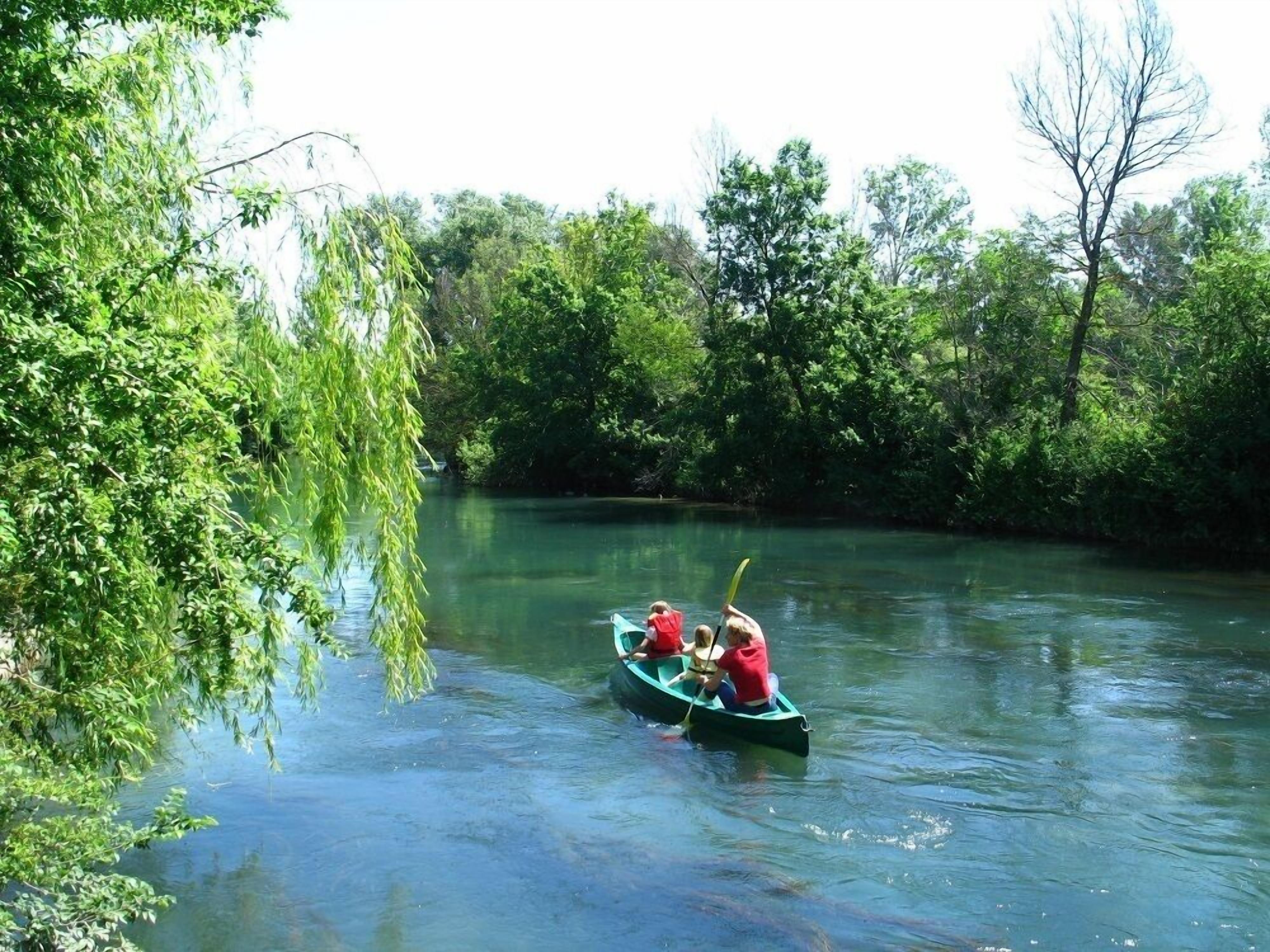 A narrow waterway with dense foliage on both sides.