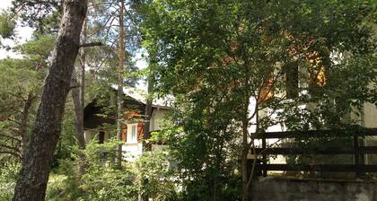 Chalet ''La Carline'' Ă 1250m d'altitude