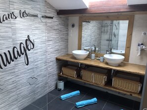 Shower, hair dryer, towels
