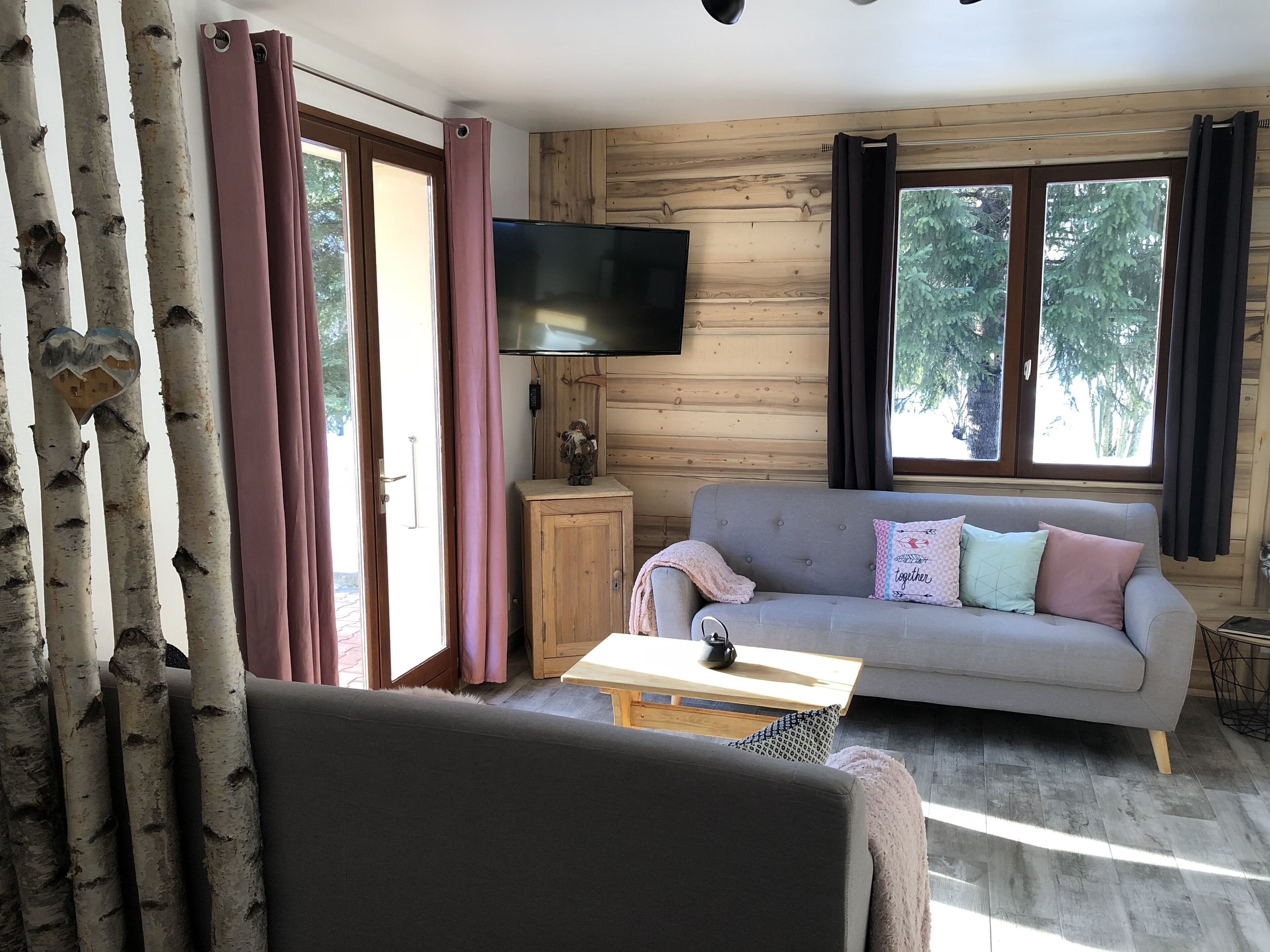 TV, fireplace, DVD player, books