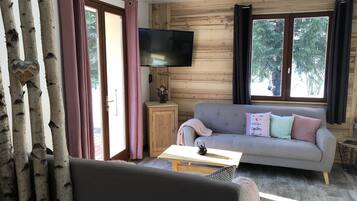 Télévision, cheminée, lecteur de DVD, livres