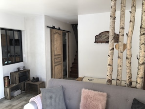 TV, fireplace, DVD player, books