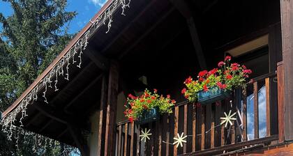 Chalet 10 pers 4 bedrooms near the city center and the funicular Les Arcs