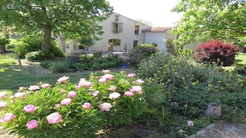 Stroll through a serene garden filled with vibrant flowers and lush greenery, surrounded by a traditional two-story building with a charming porch.