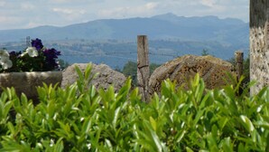 Montañas a lo lejos, una cerca de alambre de púas y algo de vegetación en primer plano.